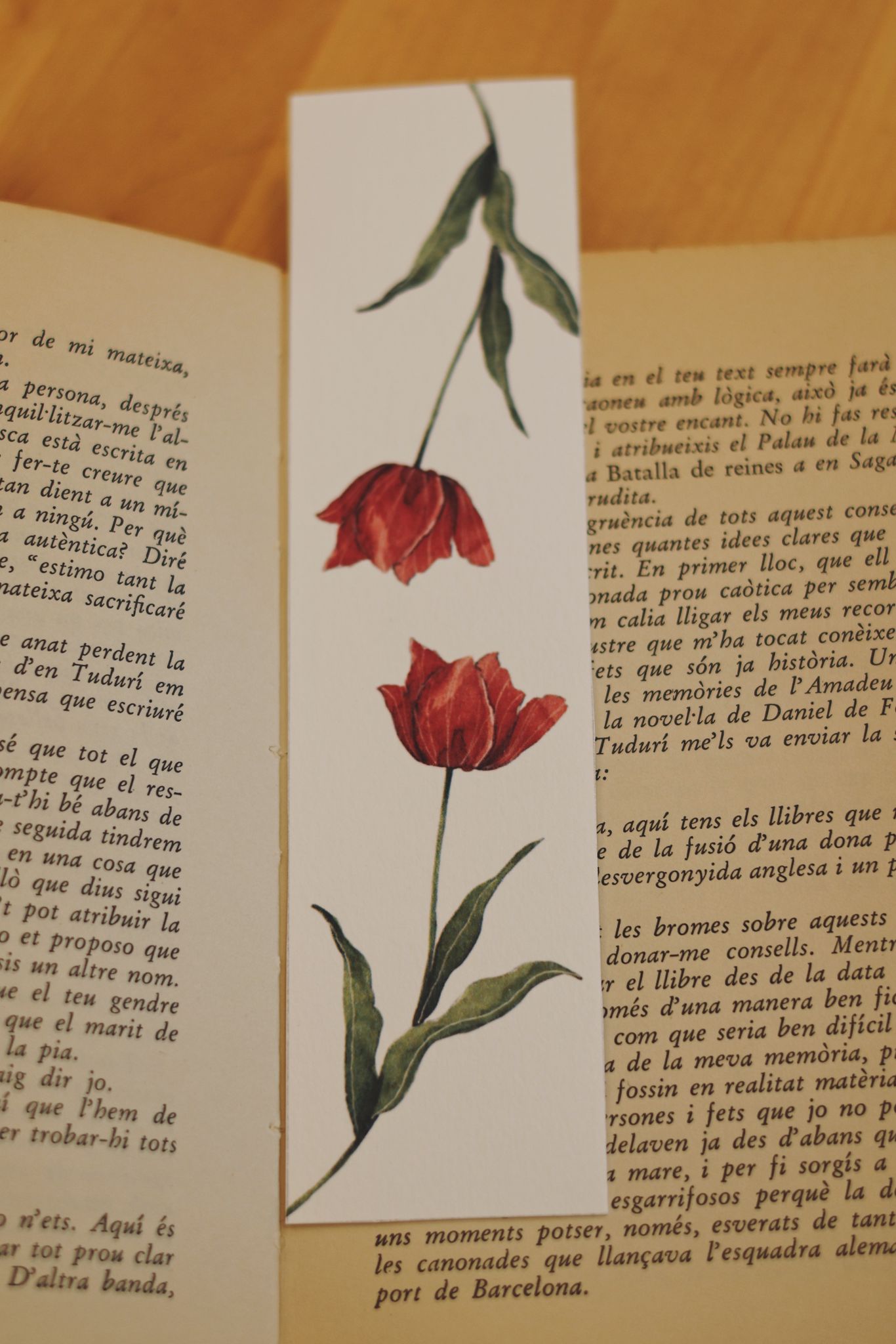 Punts de llibre