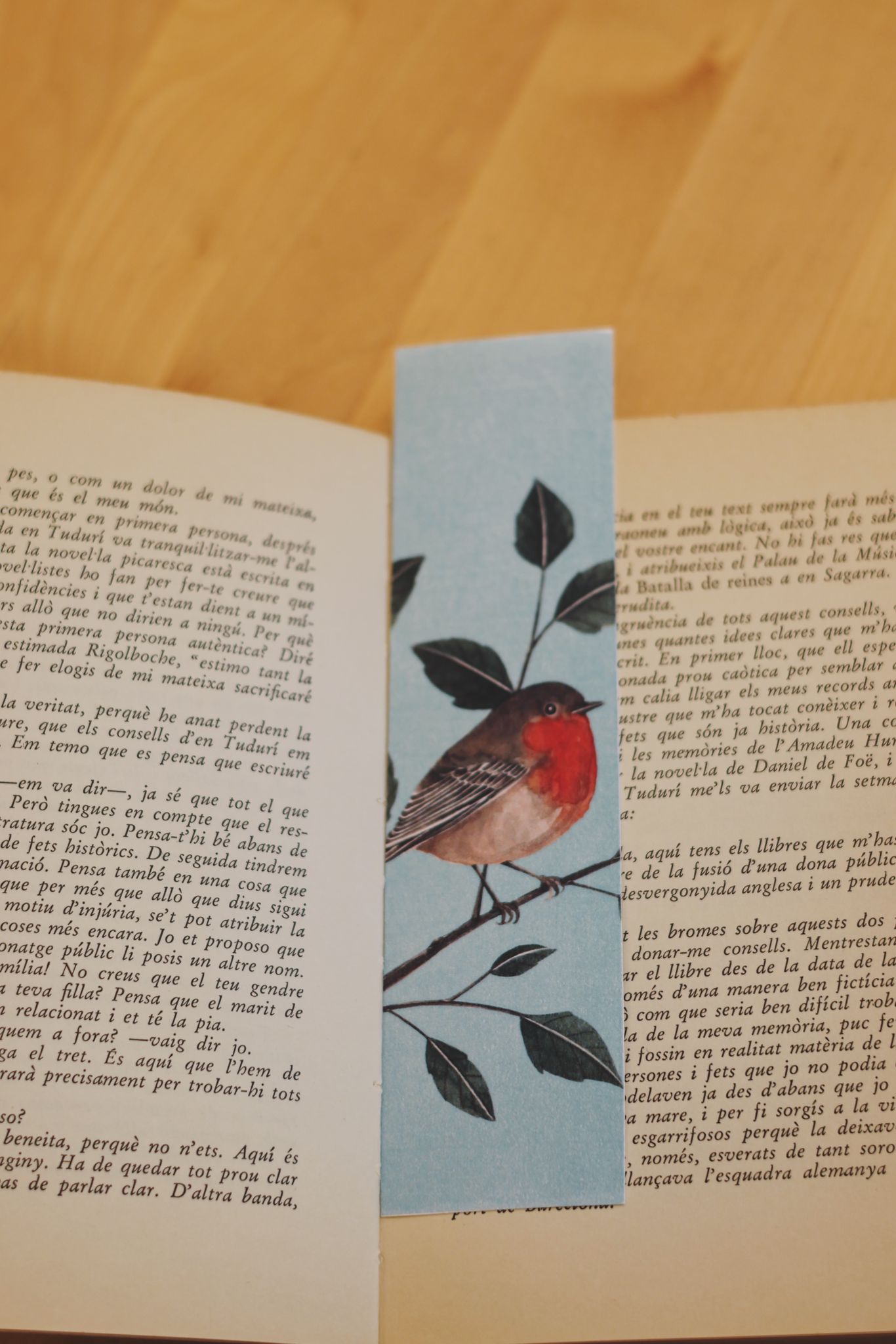 Punts de llibre